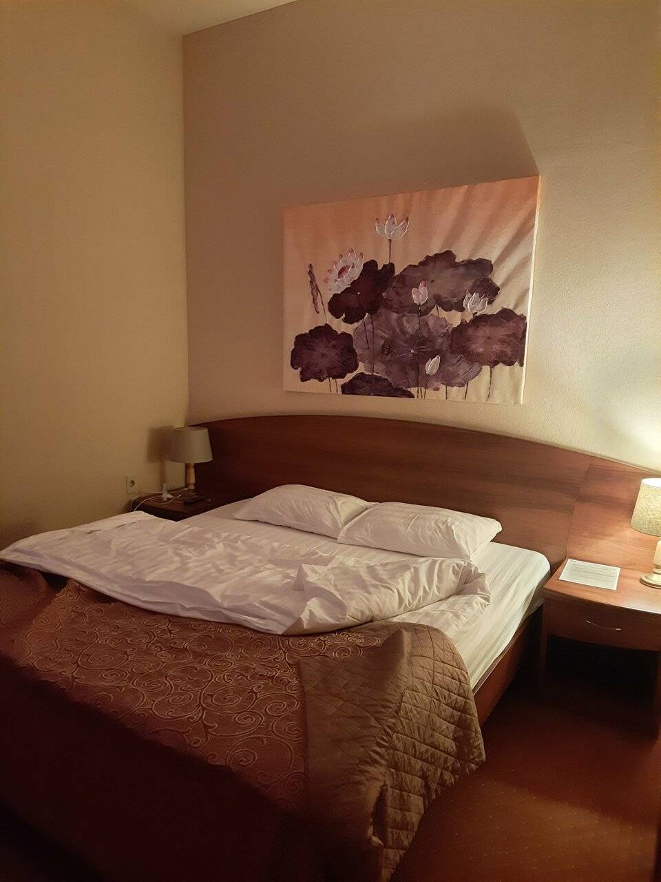 Фото Гостиницы Парк Отель Дубна 247