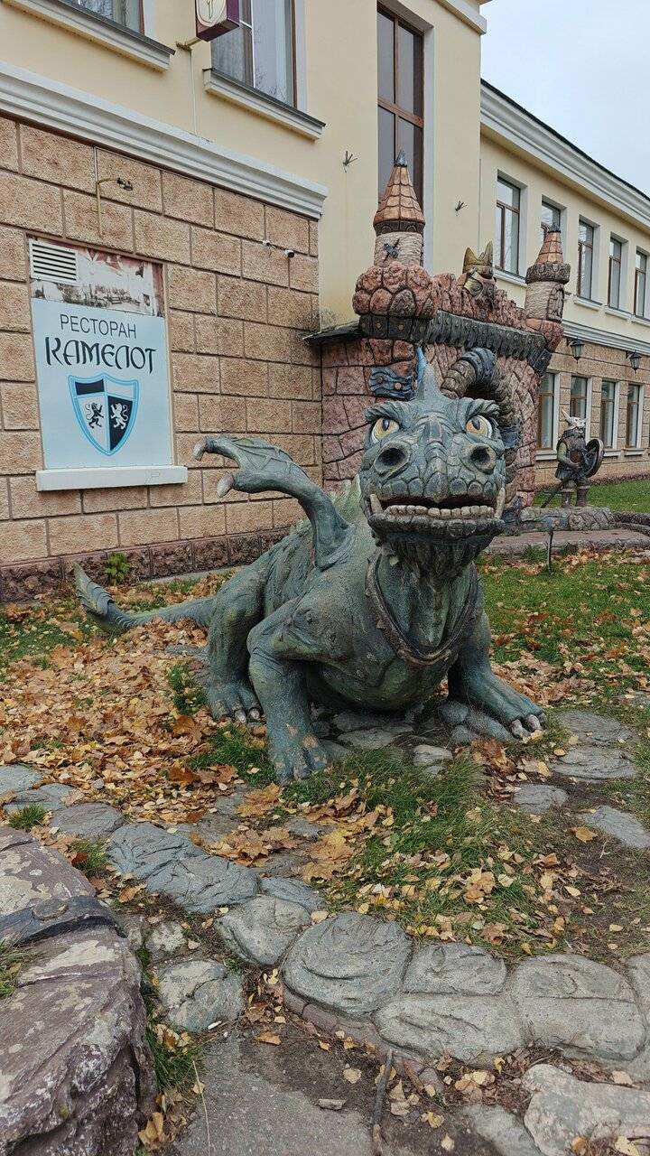 Фото Гостиницы Парк Отель Дубна 229