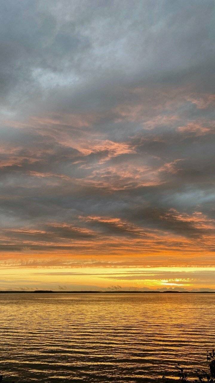 Фото Гостиницы Парк Отель Дубна 243