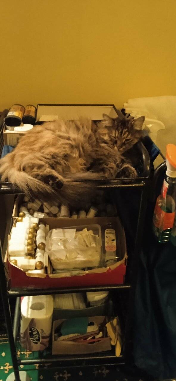 Фото Гостиницы Парк Отель Дубна 213