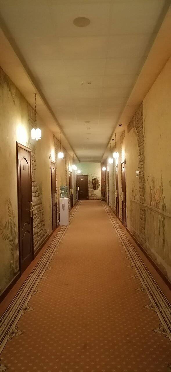 Фото Гостиницы Парк Отель Дубна 58