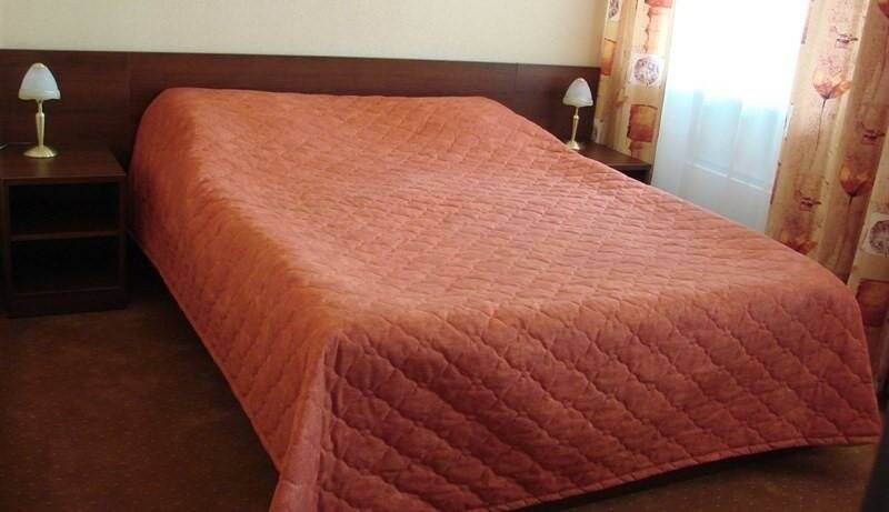 Фото Гостиницы Парк Отель Дубна 61