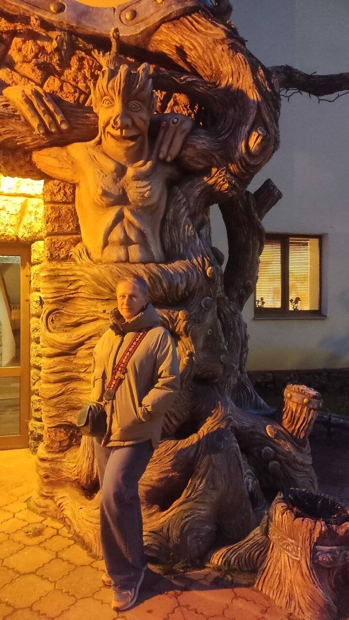 Фото Гостиницы Парк Отель Дубна 190