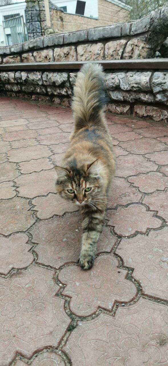 Фото Гостиницы Парк Отель Дубна 180