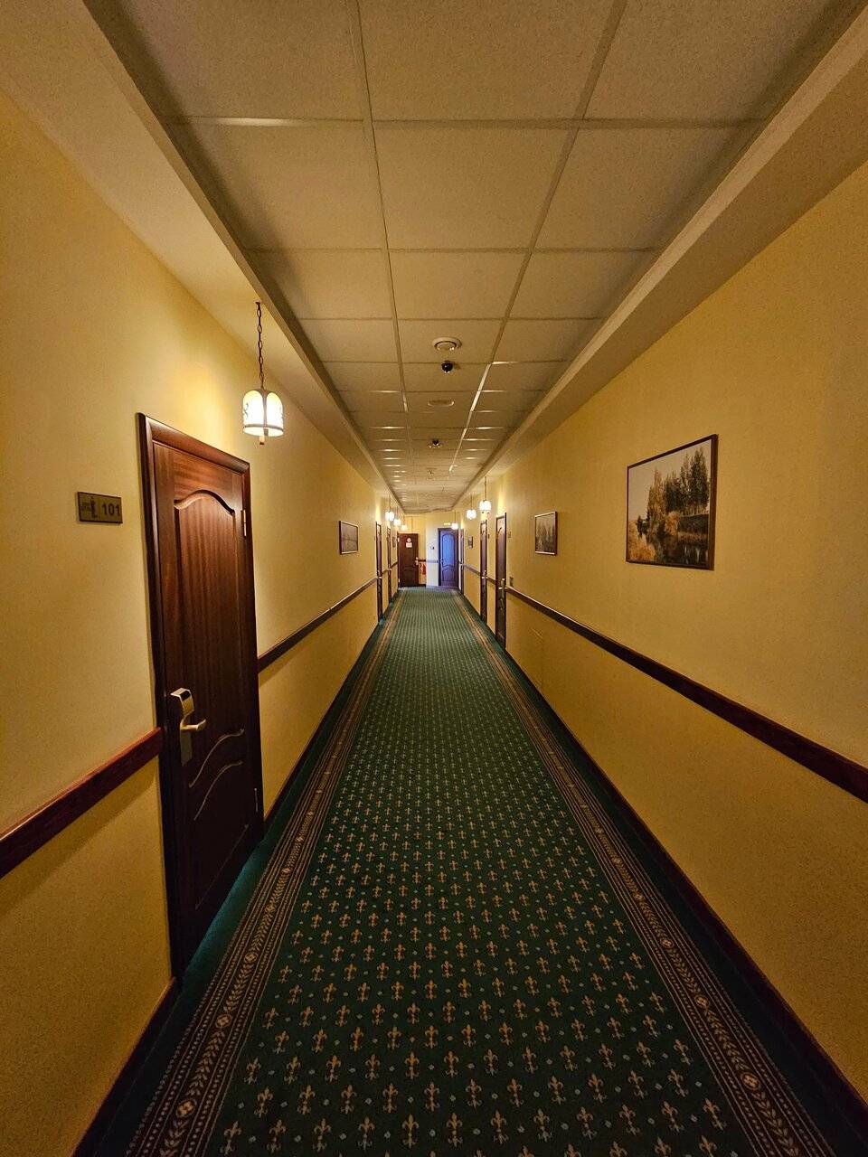 Фото Гостиницы Парк Отель Дубна 218