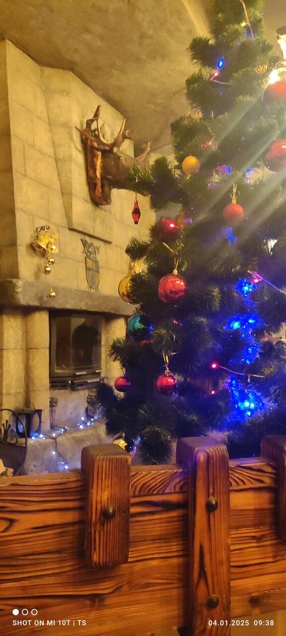 Фото Гостиницы Парк Отель Дубна 197