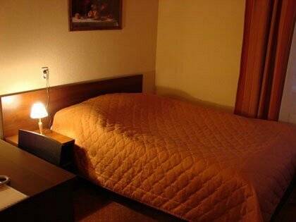 Стандарт DBL 204